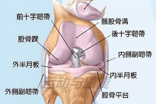 <em>广州和平骨科医院</em>康复医学科：4大膝盖疼痛的成因、保养、治疗与防护