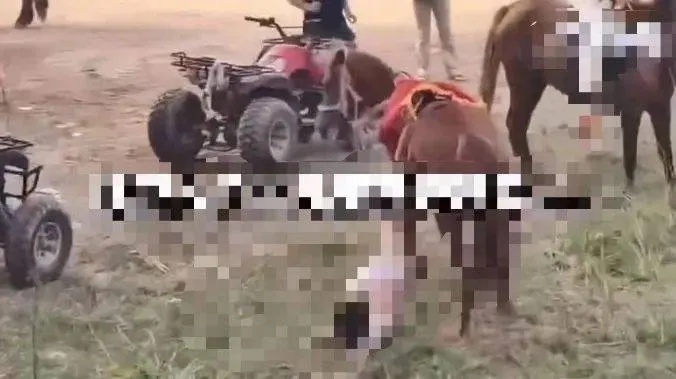8岁男孩骑马被拖行数百米后身亡，河南<em>荥阳</em>通报