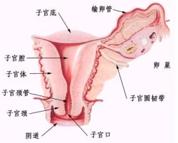 网络直播和手术直播不可混为一谈